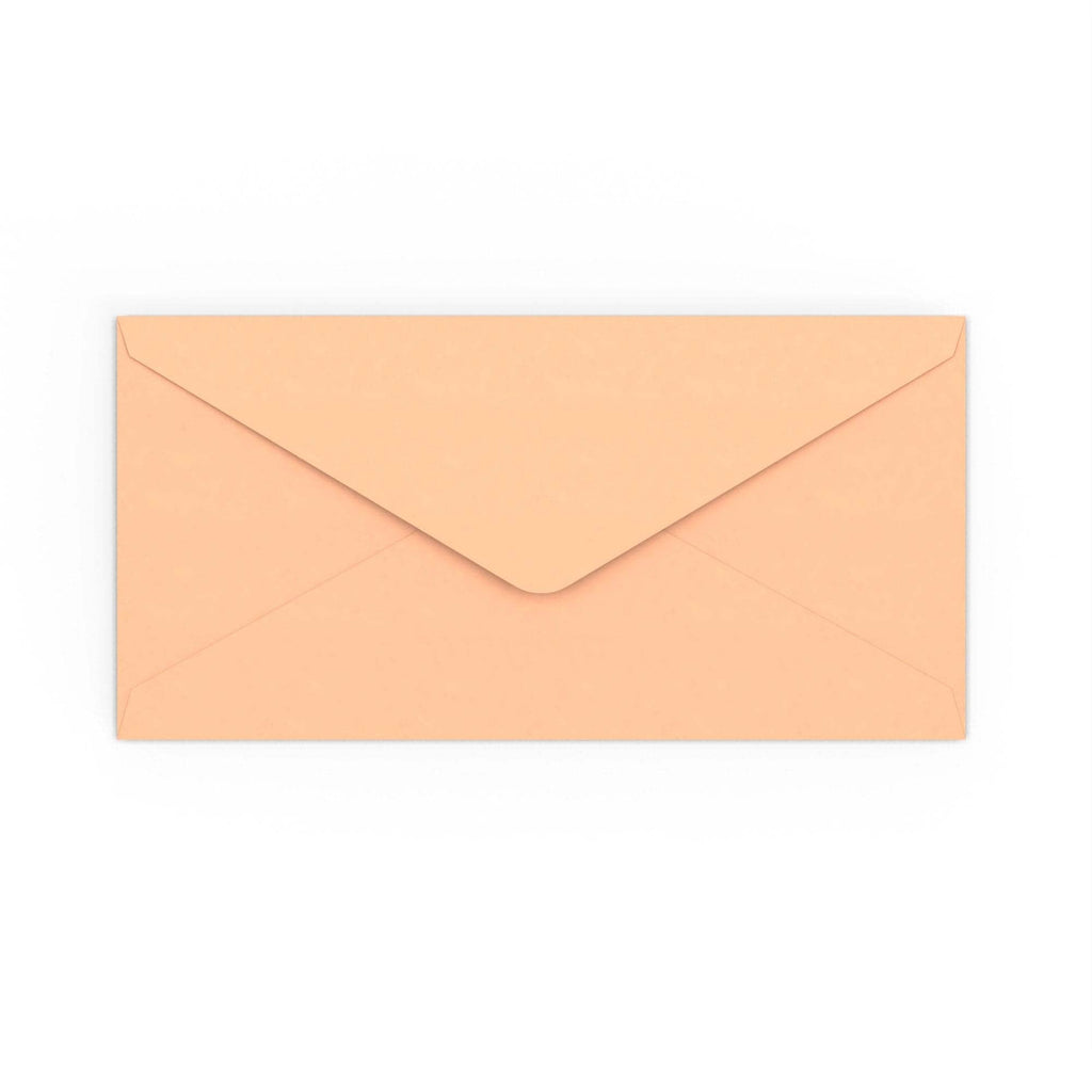 DL Salmon Pink 120gsm Gummed V-Flap Envelope (110 x 220mm)