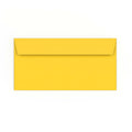 DL Mid Yellow Envelope (110 x 220mm)