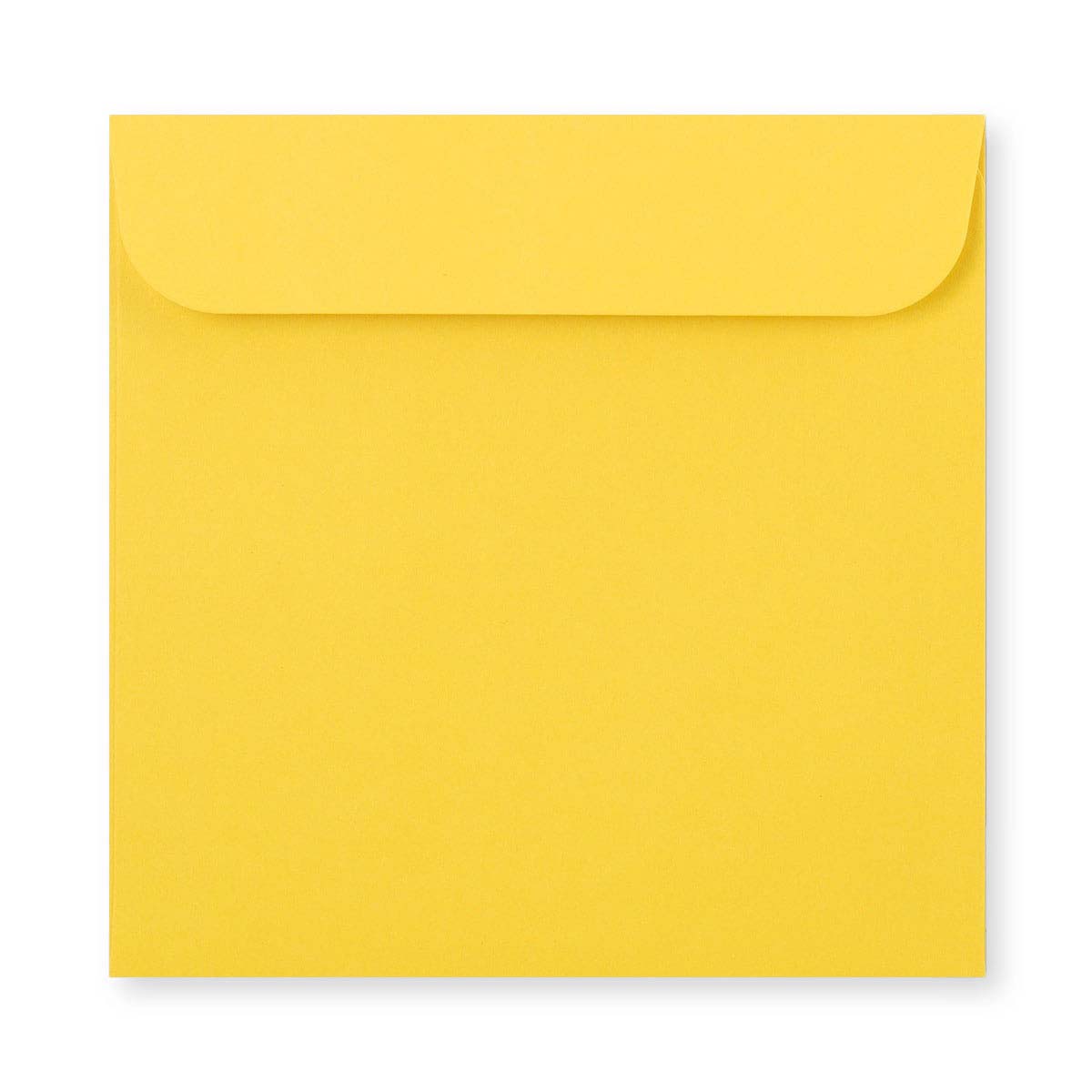 CD Envelopes