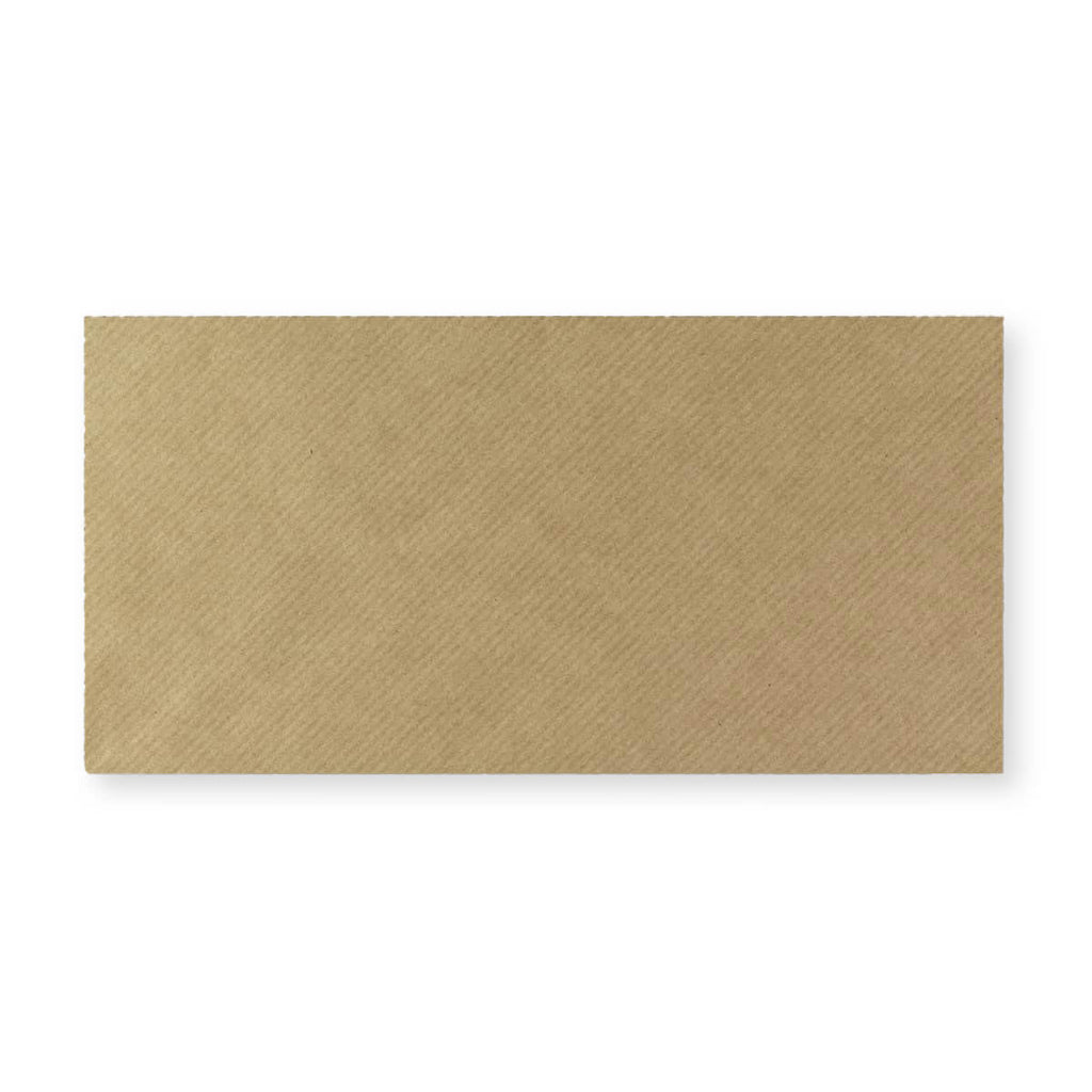 DL Fleck 100gsm Gummed V-Flap Envelope (110 x 220mm)
