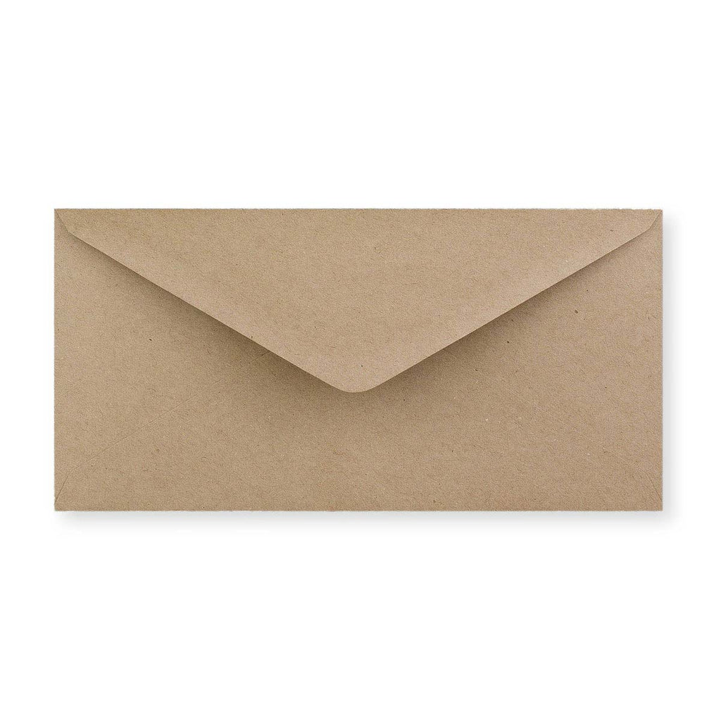 DL Fleck 125gsm Recycled Gummed V-Flap Envelope (110 x 220mm)