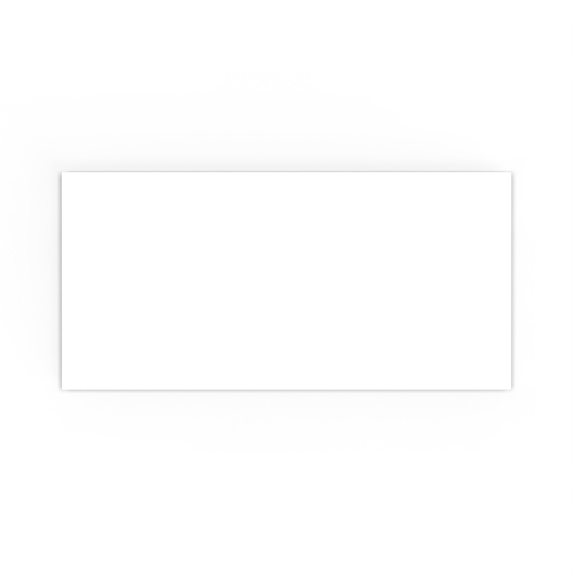DL White Envelope (110 x 220mm)