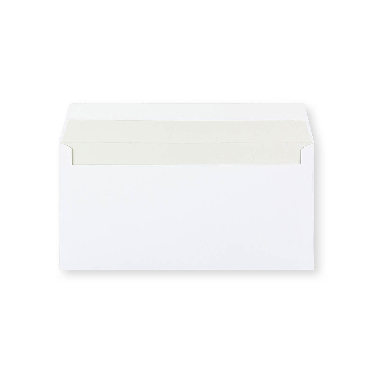DL White Envelope (110 x 220mm)
