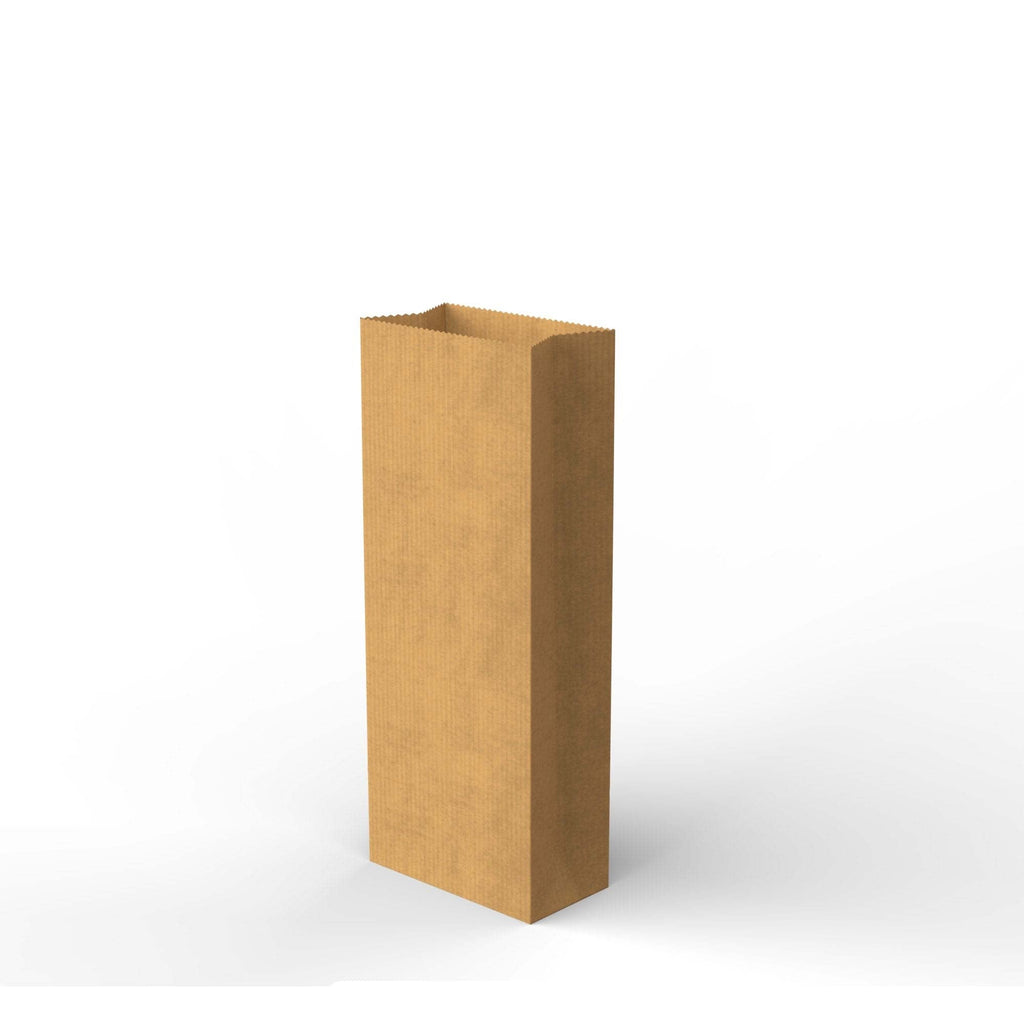 Paper Kraft Food Bags